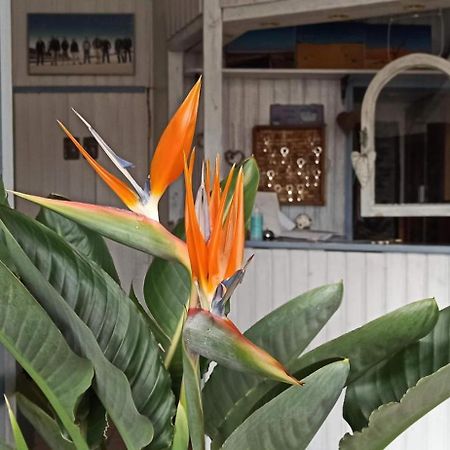 B&B Fischerstueble - Adults Only Hagnau Eksteriør billede